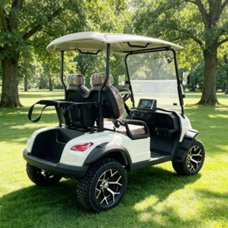 OEM Electric Golf Cart 2 Seat 14 Inch Multimedia Display Golf Club Car Golf Bag Rack And Basket Seat With Headrest 14-Inch Tires
