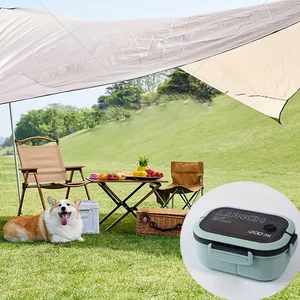 Dicke Plastik -Lunchbox mit geteiltem Fach, 2 -Layer -Mahlzeitbox, Bento -Kinokassenarbeiter, verfügbarer Mikrowellenofen, 1 Set Hauptverkaufsmikrowellen -Plastiktopf - №1