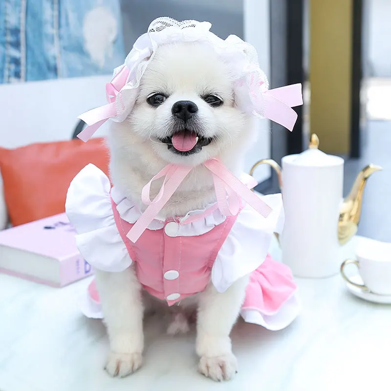 1pcs Spring And Summer Walking Dog Skirt Can Be Hung Traction Blue Pink Maid Skirt Dog Outdoor Cute Dress Chihuahua Pet Clothing