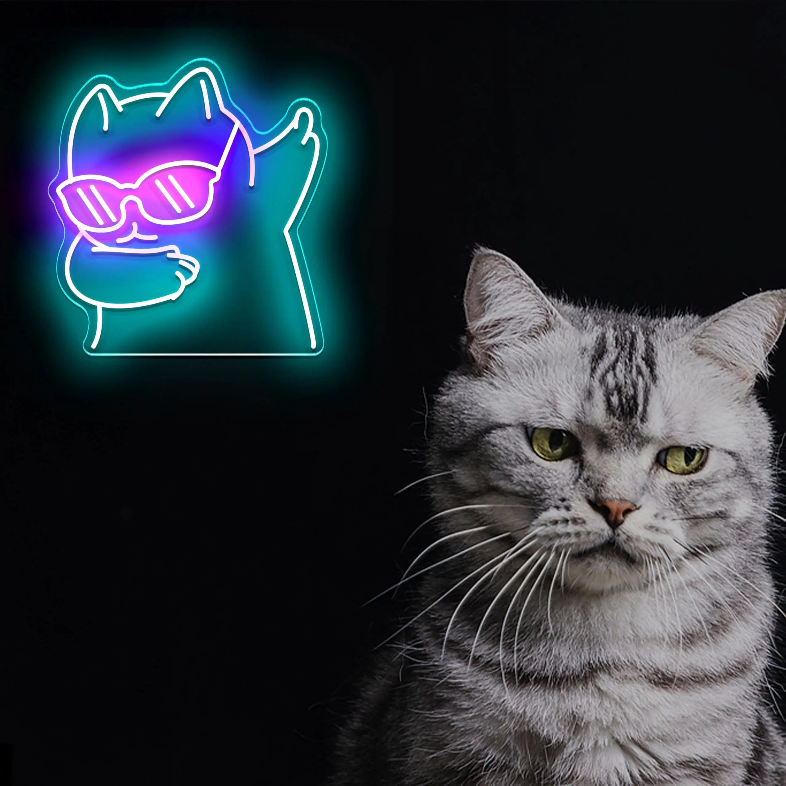 Cat LED Neon - Engraved Acrylic Design, USB Powered Dimmable LED Neon, Suitable for Cat Cafes, Parties, Game Room Wall Decor