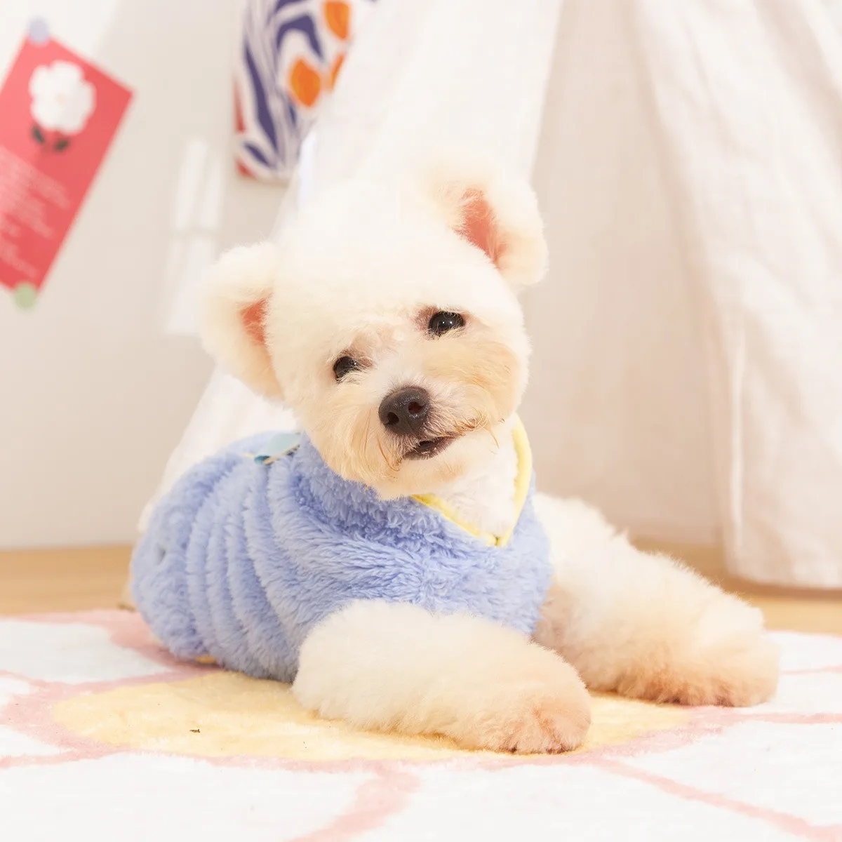 

Cute Pocket Dog Clothes Pet Warm Clothes Winter Double-sided Plush Puppy Hoodie High Neck Beagle Pullover