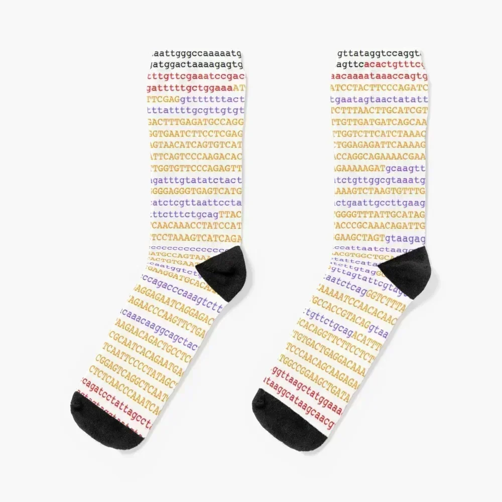

Genome ATGC DNA base pairs genes Socks designer colored Rugby Socks Men's Women's