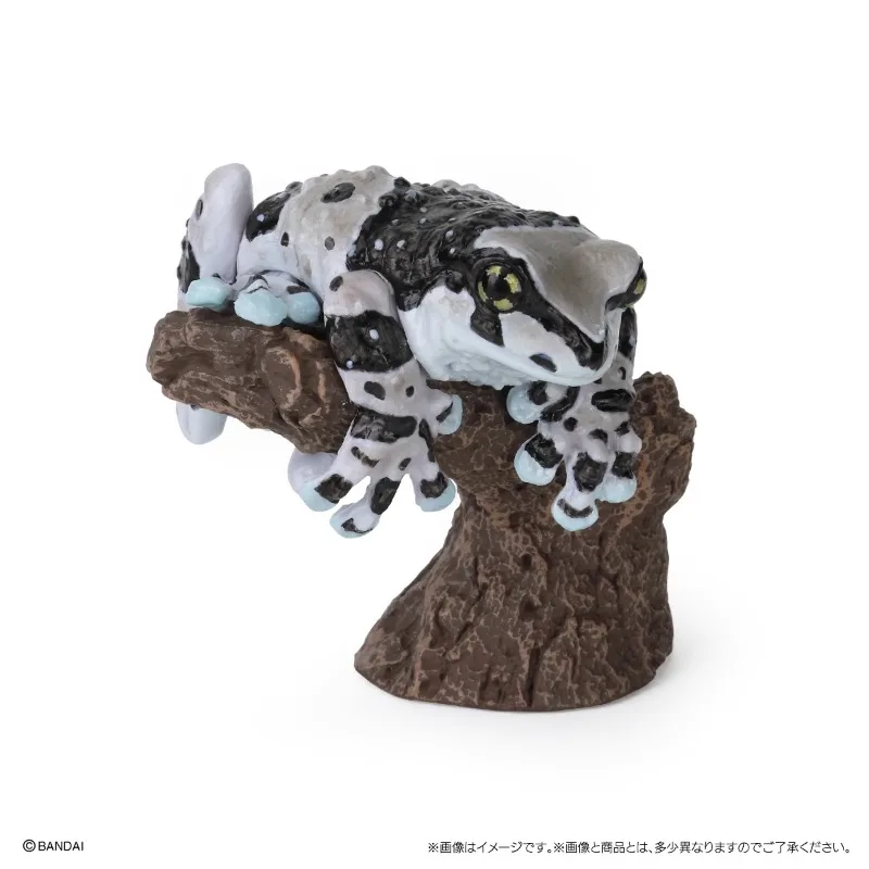 Original Bandai Big Biological Map Milk Tree Frog Gashapon Qversion Mini Animal Anime Action Figure Model Toys Gift Collection