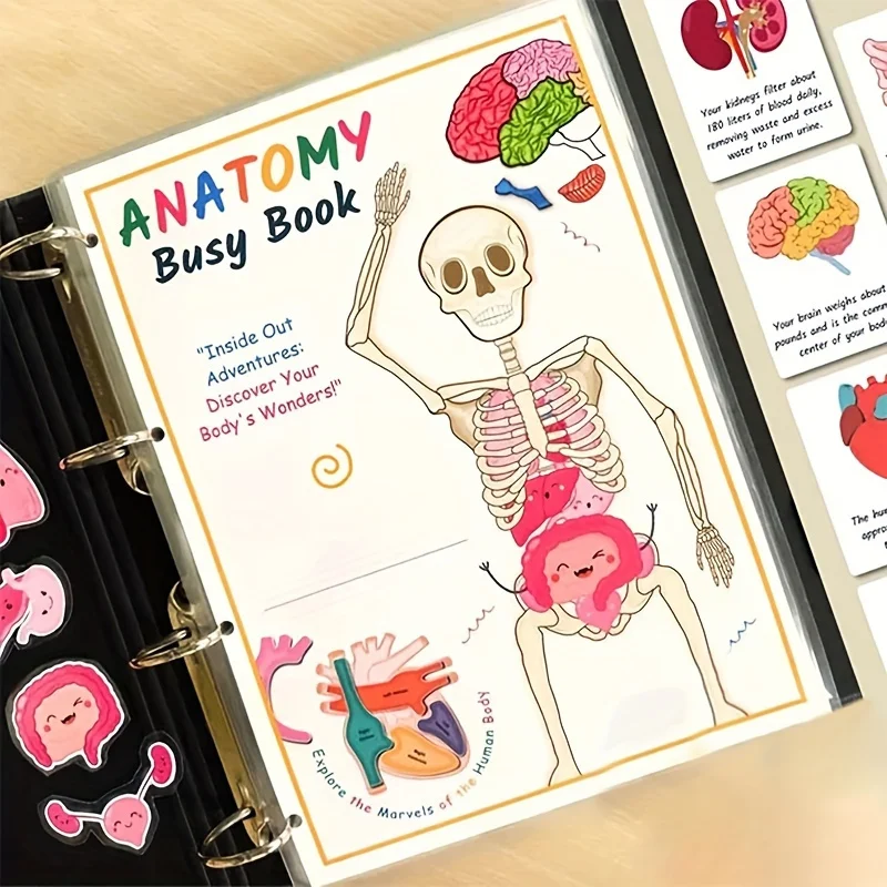 Interaktives, beschäftigtes Buch der menschlichen Anatomie mit beschrifteten Organen, 500 Körperfichten, pädagogisches Lernaktivitätsgeschenk für Studenten