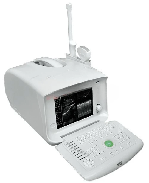 machine Veterinary pet Pig B-ultrasound machine Diagnosis of small animals