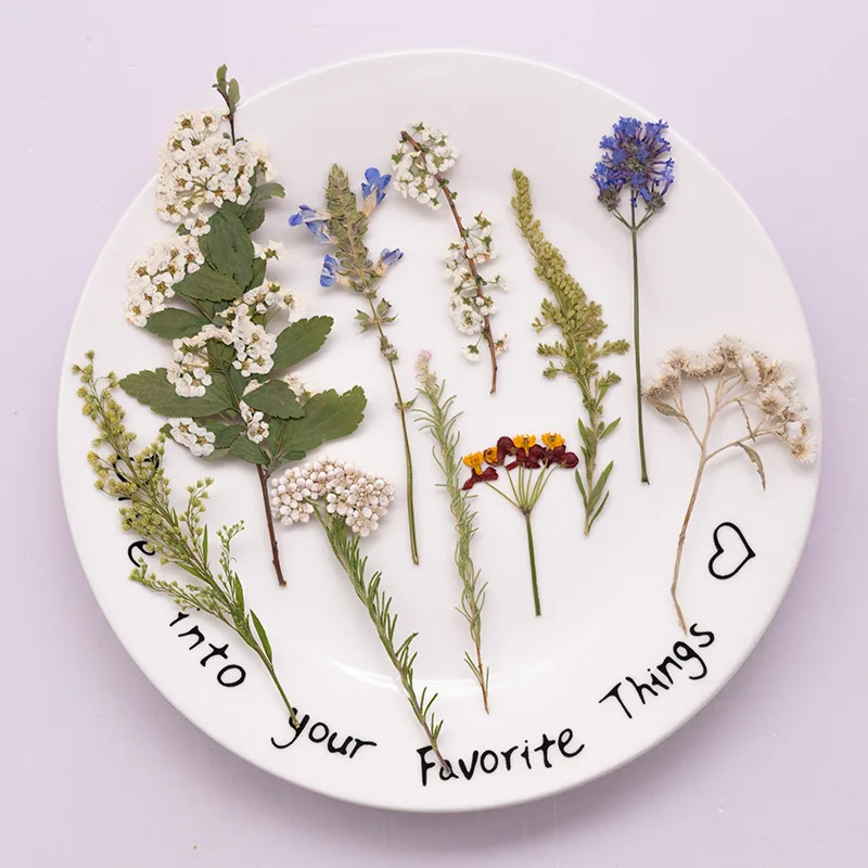 

500Pcs Large Package of Fern Pressed Flowers, Dried Flower Specimens for Teaching, DIY Handmade Bookmarks, Resin Dried Flowers, Phone Case Resin, Resin Aromatherapy