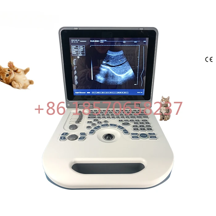 

Clear imaging laptop veterinary diagnostic ultrasound vet ultrasound price with probe