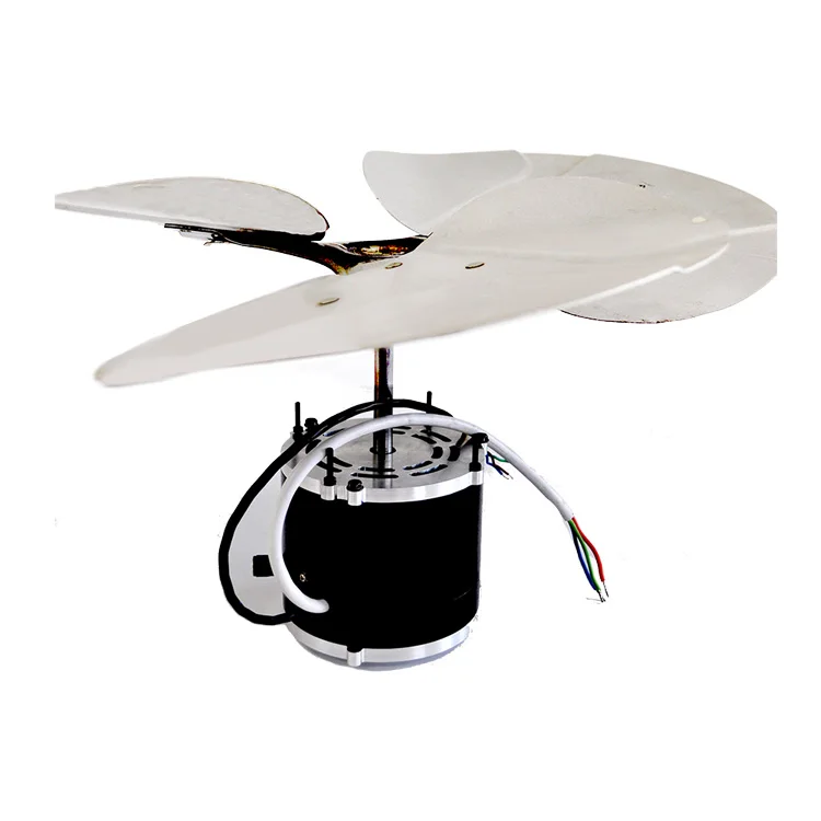 ECM Elektrischer Gleichstrommotor