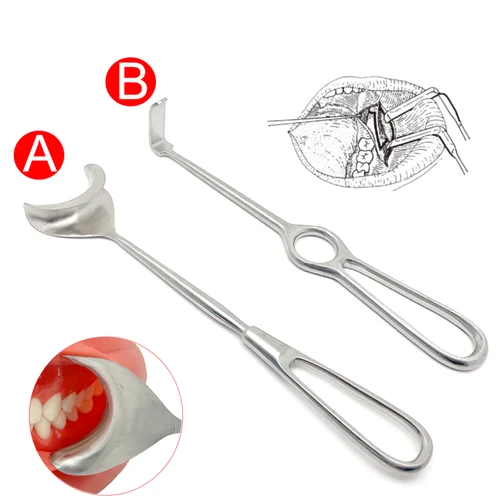 Implante Dental y Retractor de tejido blando maxilofacial, curvas superiores e inferiores largas, instrumentos quirúrgicos dentales de acero inoxidable