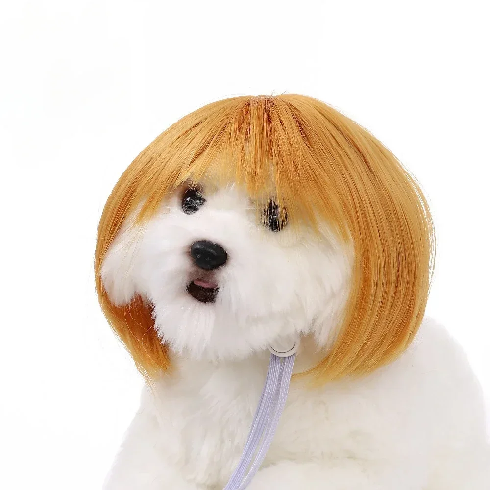 Pet Wig Dog Wig Pet Supplies Halloween Pet Accessories Curly Hair Straight Hair Cat Wig