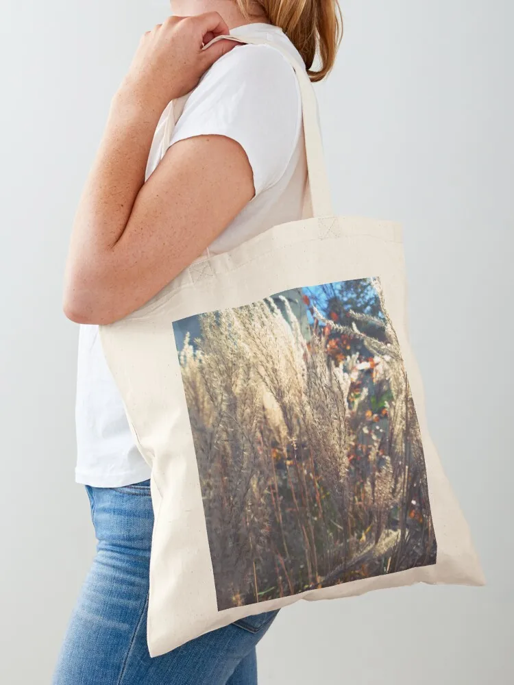 Maiden silvergrass in the autumn sun Tote Bag sacs de shopping Shopper bag Canvas Tote Bag