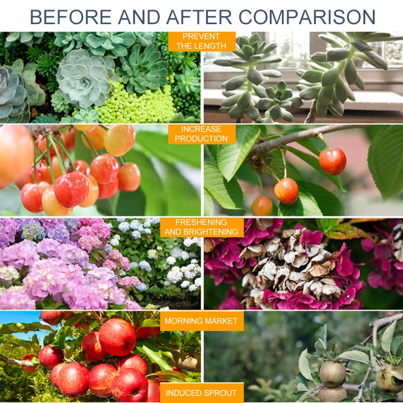 Led Grow Light Easy To Use Multi-functional Hydroponics Enhanced Photosynthesis Desktop Plant Light With Timer Full Spectrum