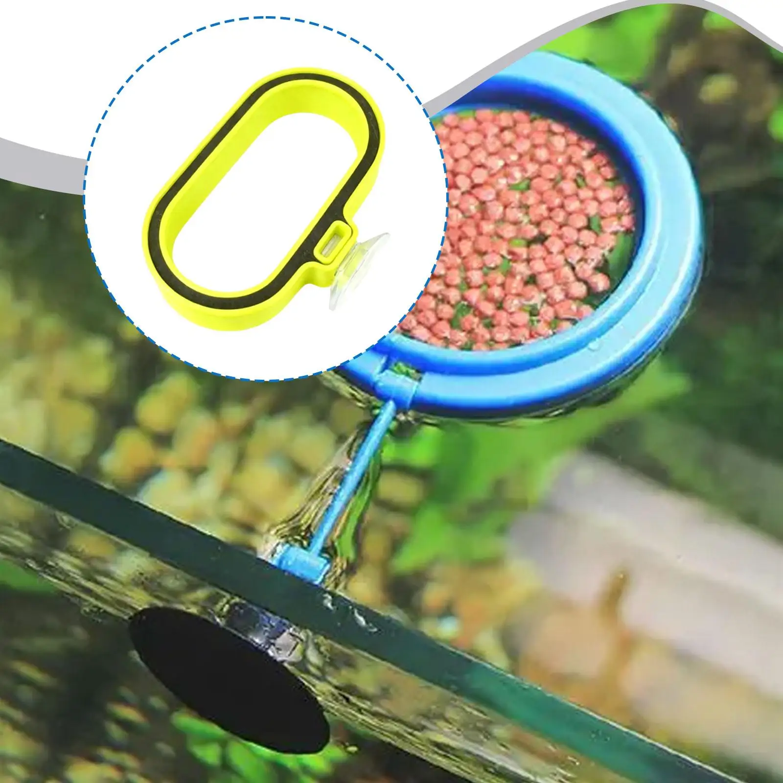 Anneau d'alimentation pour poissons, distributeur flottant facile à installer pour poissons rouges, koïs, crevettes, accessoires pour aquarium communautaire