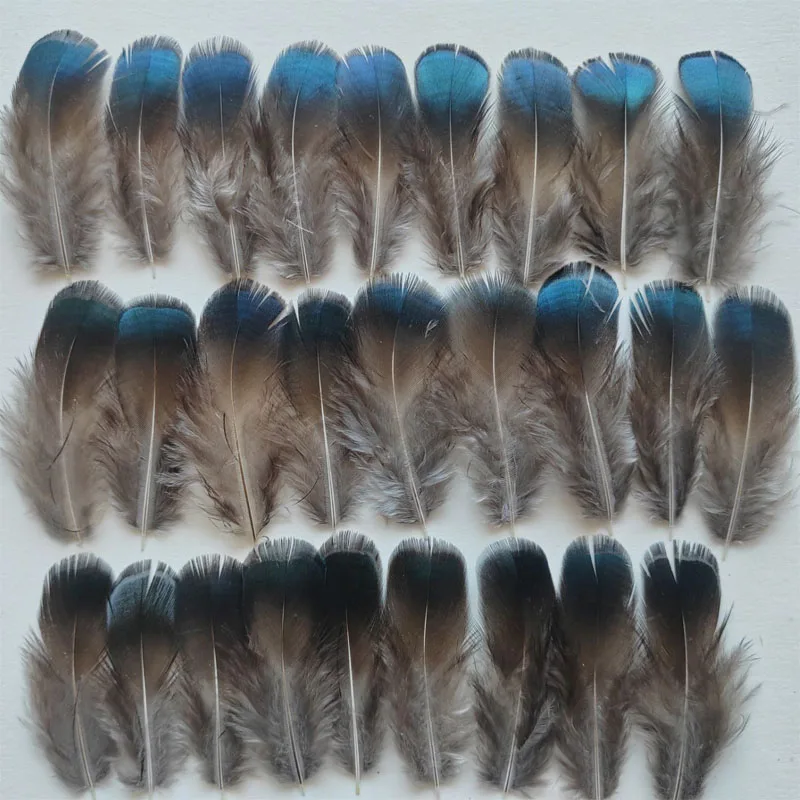 

Natural Lady Amherst Jewel BLUE Pheasant Feather Plumage x 100pcs,5-6cm long, Iridescent Blue Bronze Feathers