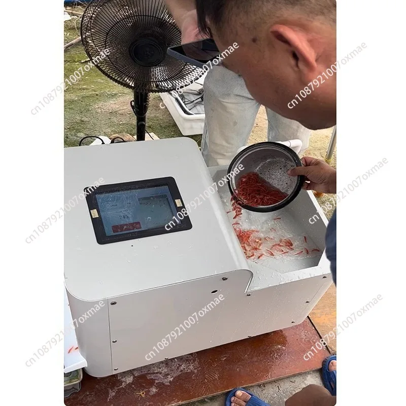 Source point, fry counter, accuracy 99% + automatic fish counting machine, fish counting machine ai algorithm, fry counting