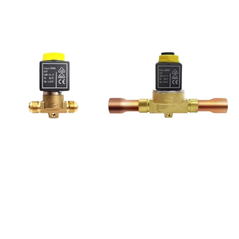 Cold Storage Usually Closed One-Way Two Way Refrigeration Air Conditioning 12V24V Solenoid Valve Coil Freon Refrigeration Unit V