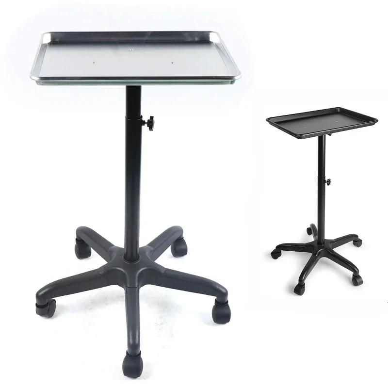 Salon Spa Beauty Tattoo Metal Silver Rolling Service Instrument Tray