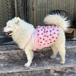 Summer Dog Dress French Bulldog Corgi Samoyed Husky Border Collie Labrador Golden Retriever Big Large Dog Clothes Pet Clothing