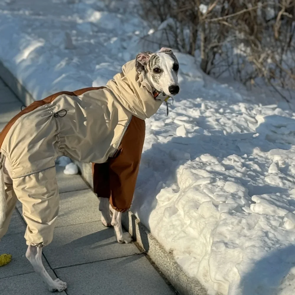 Hondenkleding in de winter Sneeuwweer Dikker pluche 4-potige kaki jas Winddichte waterdichte warme jas voor Italië Greyhound Huibit