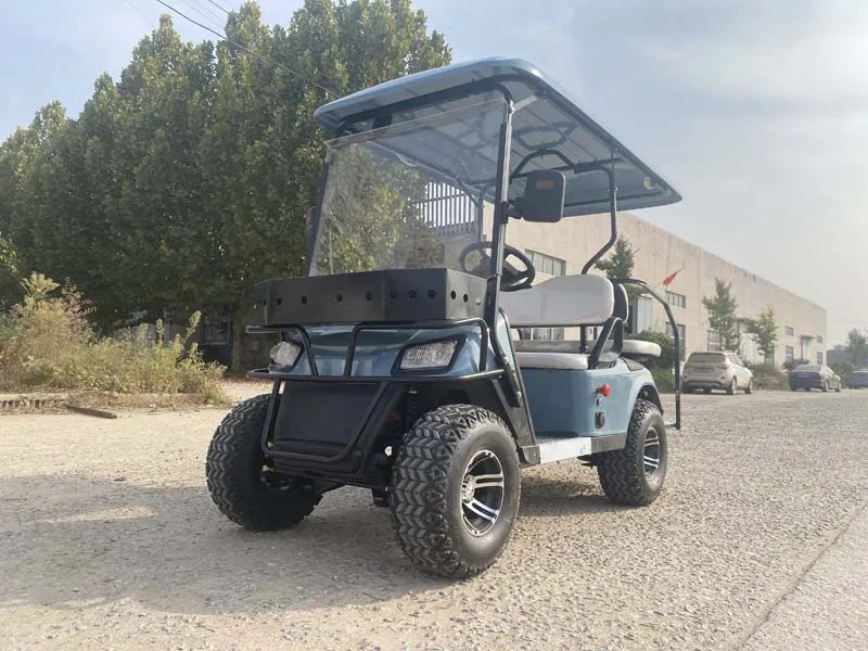 العلامة التجارية الجديدة 4 عجلة عربة فائدة السيارة 4 مقاعد سيارة الغولف الكهربائية الزرقاء #6