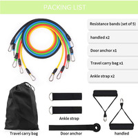 WSKEJI 11Pcs Resistance Bands Set Exercise Elastic Bands Portable Home Workouts Equipment Exercise Pull Rope for Training