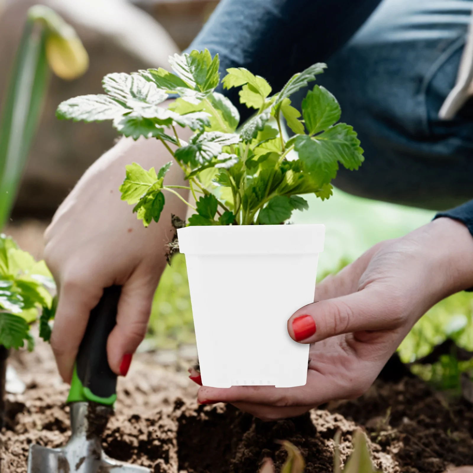 

20pcs Nursery Plant Pots Garden Flower Planting Tools Succulent Greenery Plastic Flowerpot Drainage Holes Outdoor