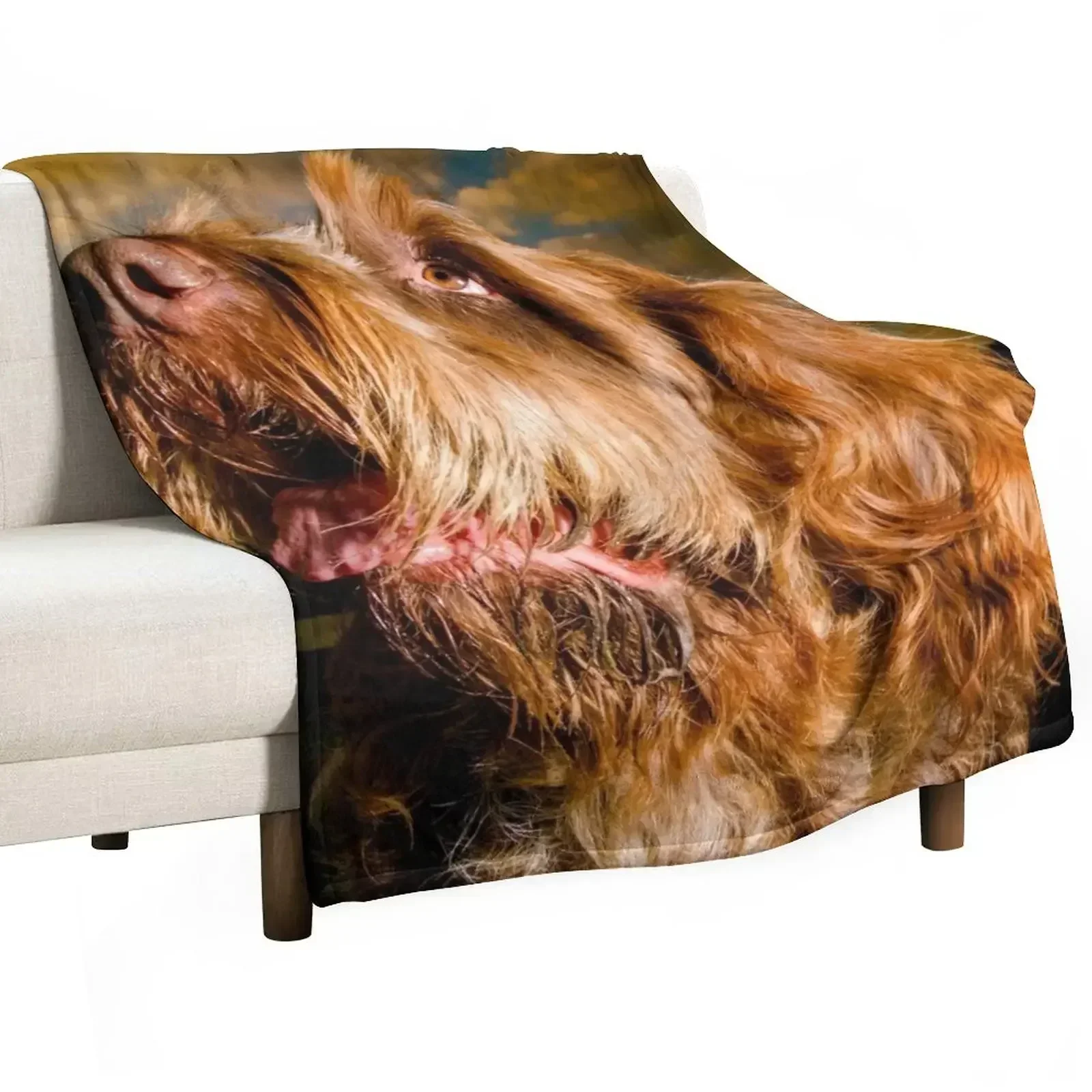 

New Star light, star bright Spinone Throw Blanket Warm Accent Blanket for Living Room Decoration