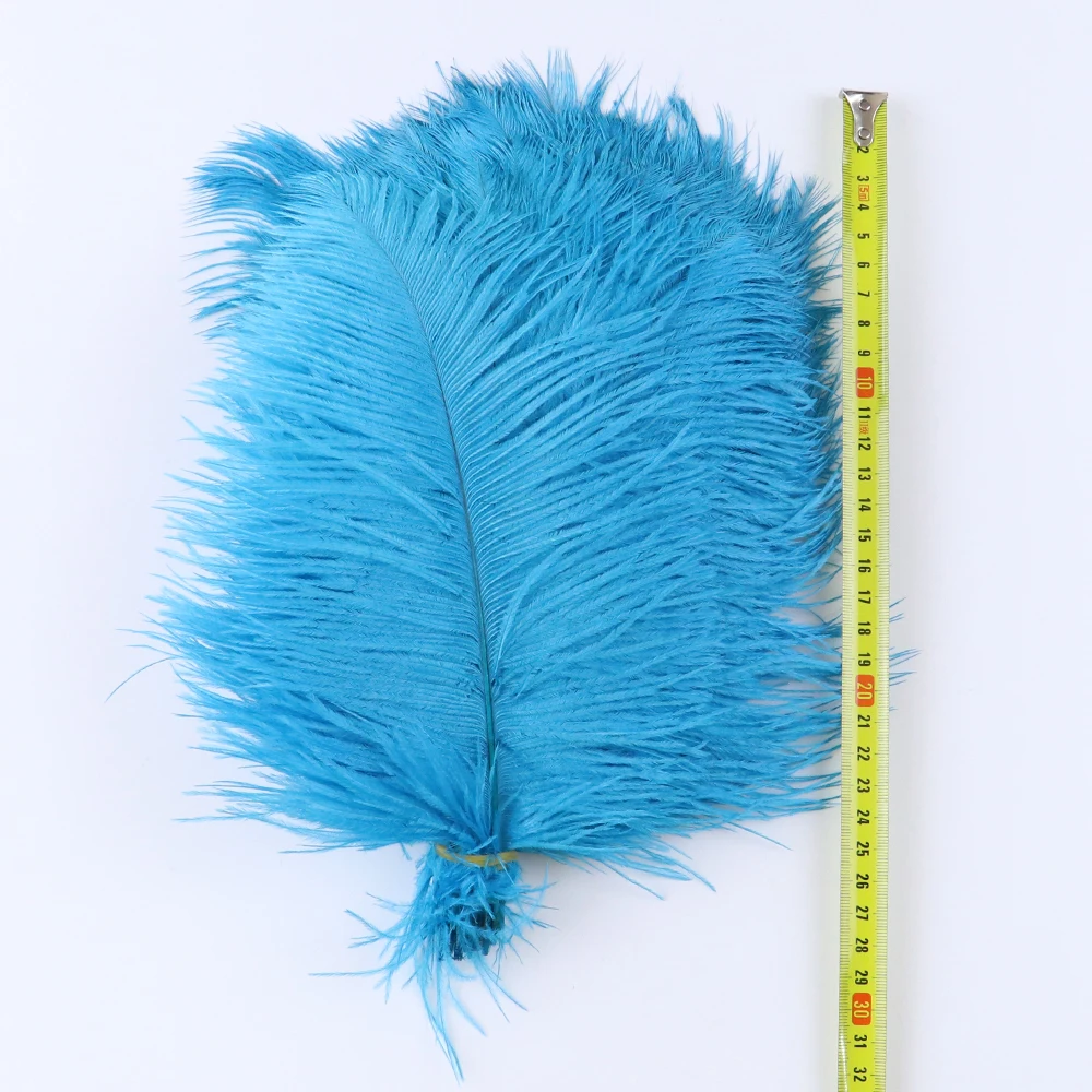 Plumes d'autruche naturelles moelleuses pour l'artisanat, la décoration de bijoux, la porcelaine de plumes de direction, la fête de mariage, les accessoires, 15-35cm, 10 pièces