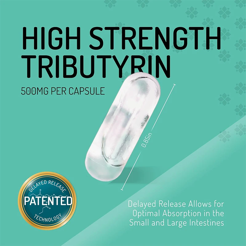 Biological Butyrate Supplements Based on Tributylic Acid. Post Biological Support for Intestinal Health. 60 Capsules