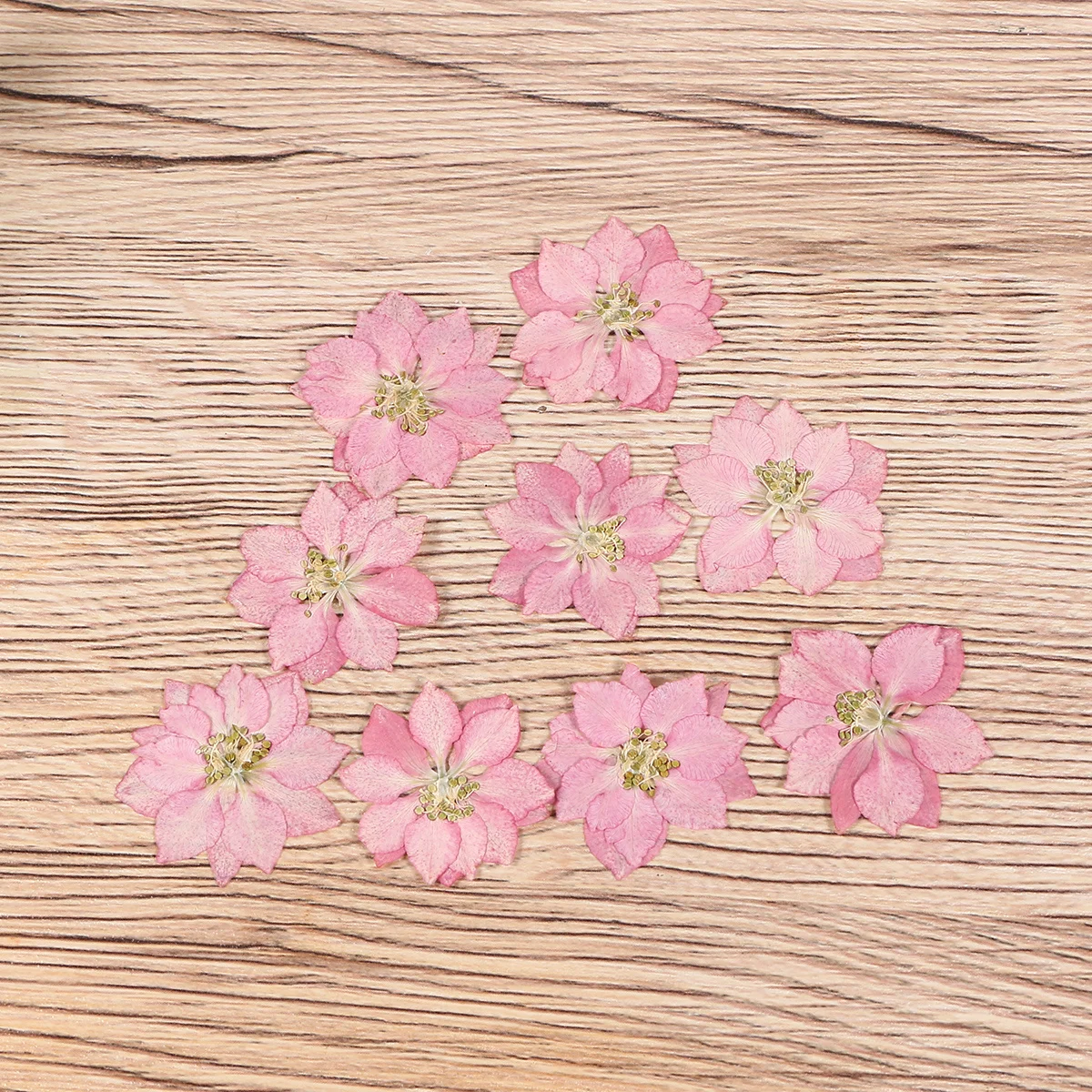 

20Pcs Small Dried Flowers Natural Lifesize Dried Flower Ornaments DIY Phone Case Decoration Long-Lasting Gift Flower Stickers