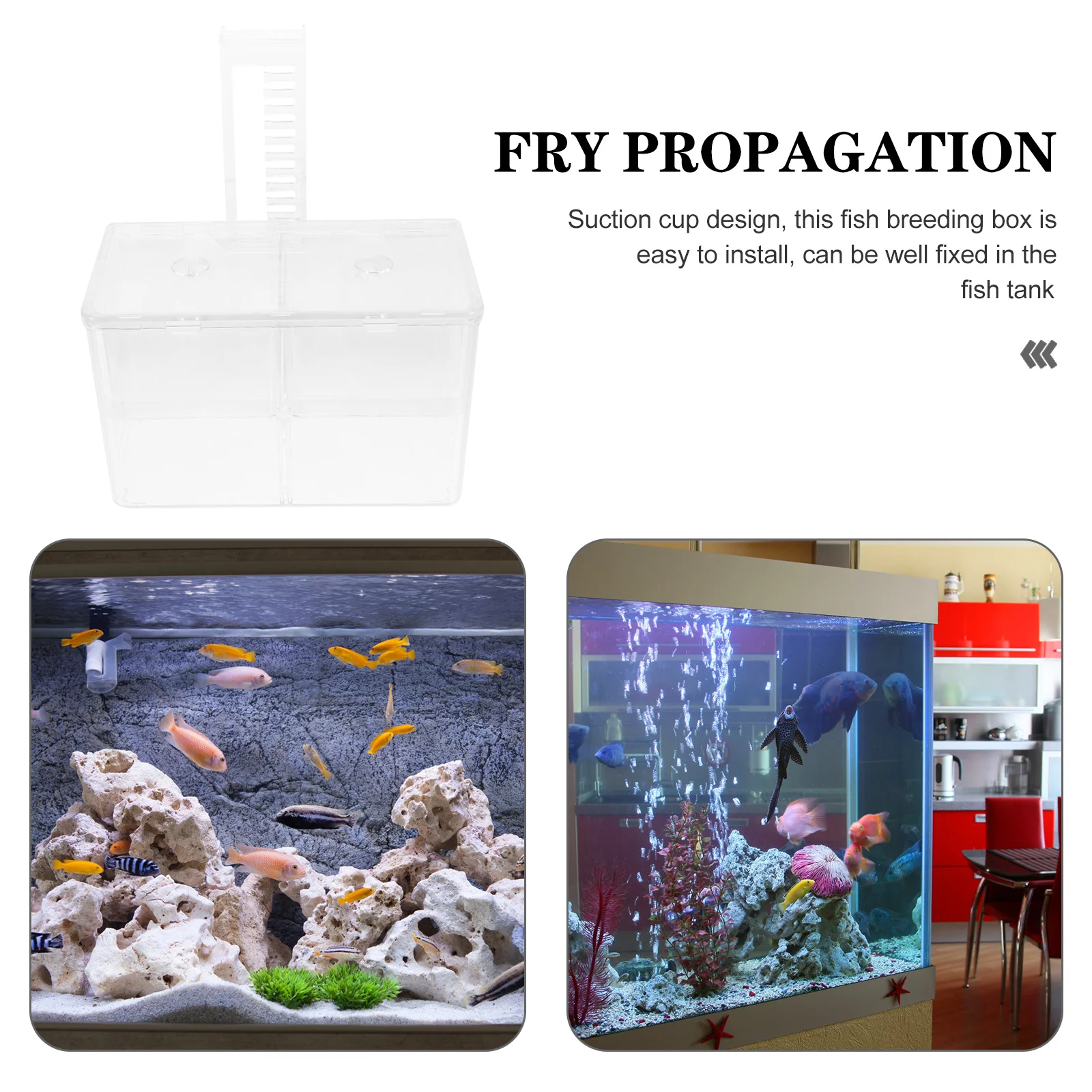 

Hanging Type Fish Breeding Box Lightweight Pe Aquarium Incubator Hatchery Holder Suction Cup Isolation Box for Fish Fry Survival