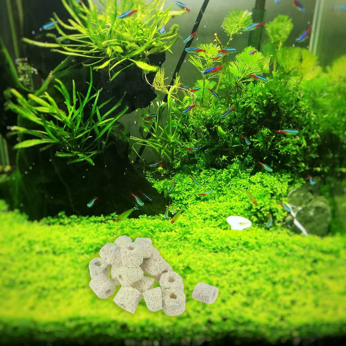 

500g Biological Filter Rings Aquarium Porous Ceramic Media for Freshwater Saltwater Fish Tank Bio Filter Aquarium Filtration