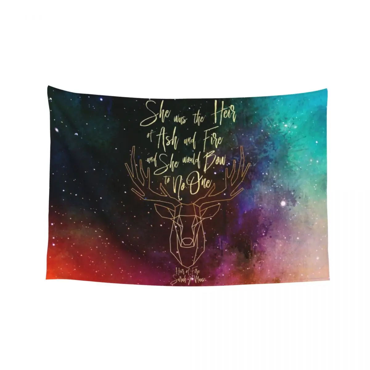 

She was the heir of ash and fire and she would bow to no one. Heir of Fire Tapestry Room Design Tapestry