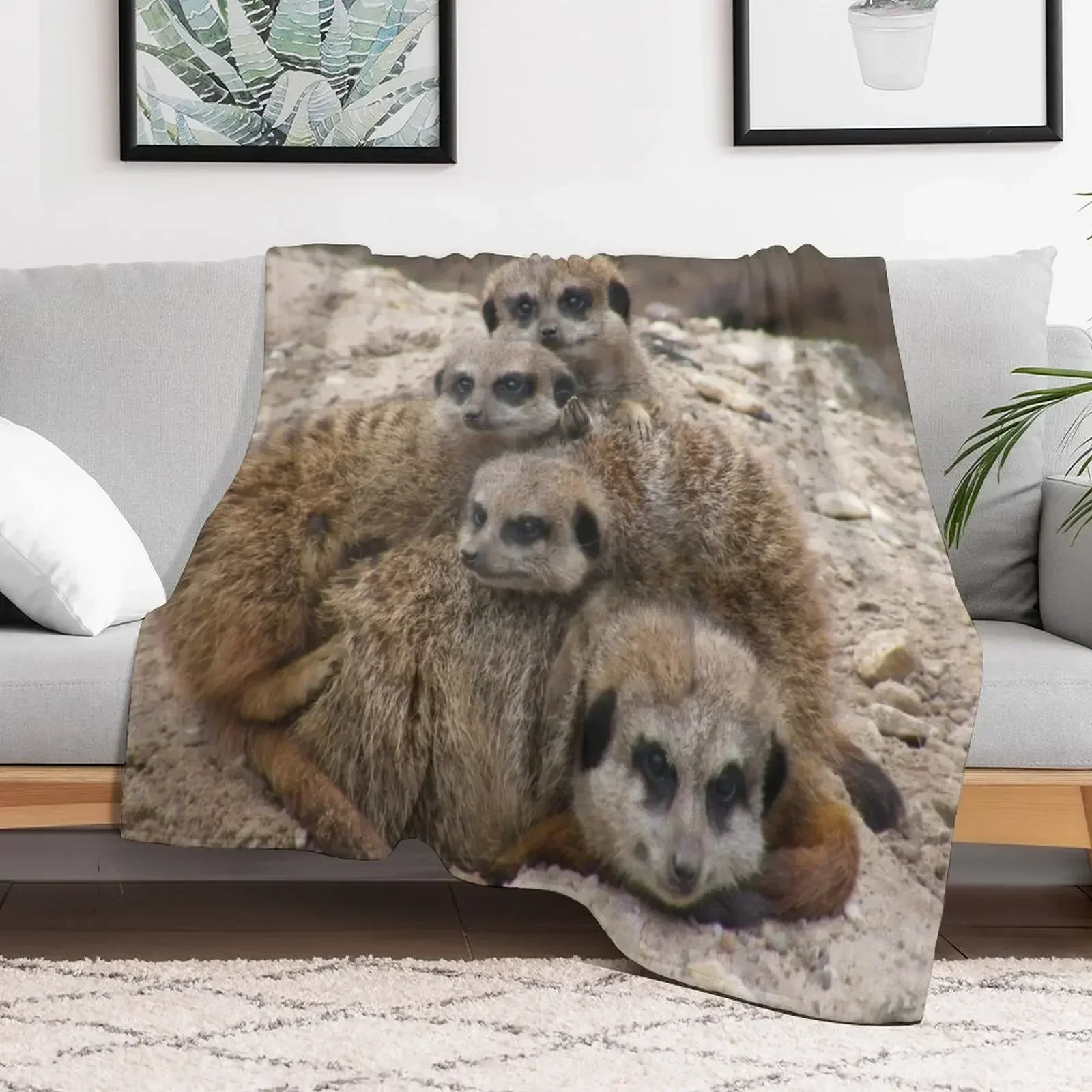 Meerkat family cuddles Throw Blanket Quilt Sofa Throw Plaid Comforter Blankets