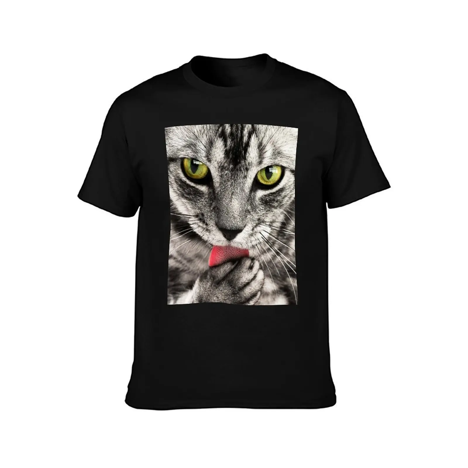 Color Me Intrigued, You May Continue T-Shirt Lightweight Print T-Shirt