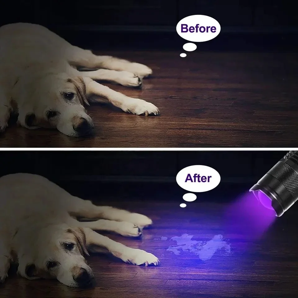 Imagem -05 - Lanterna Led uv para Pet Urine Scorpion Detector Portátil Mini Tocha Ultravioleta Impermeável Zoomable Luz Violeta 365 395nm