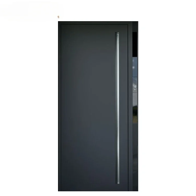 

Foshan factory outer room black metal security main entrance stainless steel door