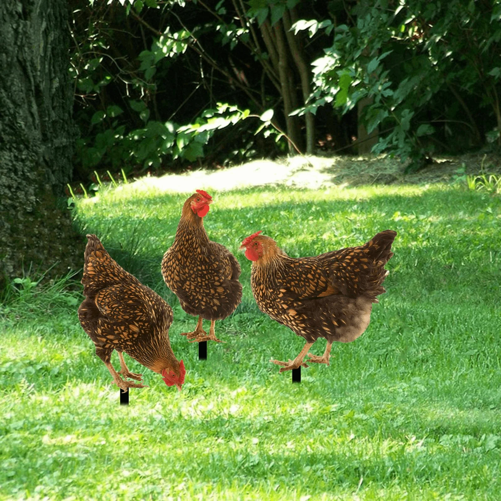 Acrylic Patio Stakes Hen Stakes Garden Hen Decoration Animal Statue Stakes Outdoor Pathway Lawn Roosters Chicken Animal Decor