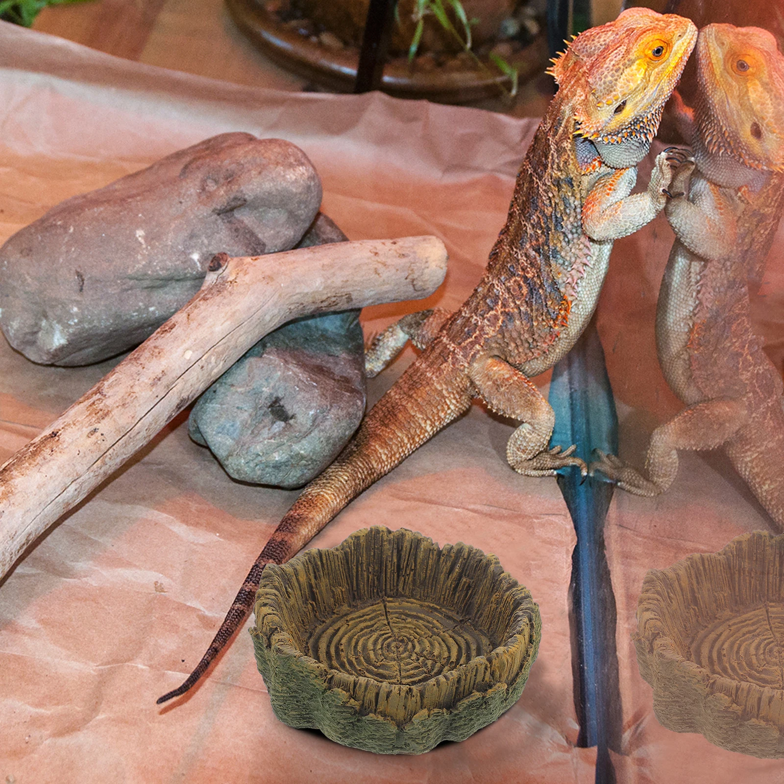 

Resin Reptile Feeder Large Capacity Reptile Water Feeders Lizard Food Container Crawling Pet Drink Basin Supplies Decor