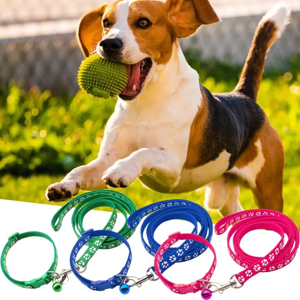 Dog Paw Print Pet Traction Rope with Collar Breathable Puppy Collar Set Pet Walking Lead Rope Adjustable Chihuahua Walking Leads