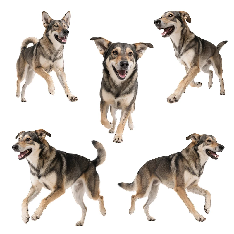 Three Ratels CG215 Swiss Shepherd Dog Wall Stickers for Home Decor PVC Waterproof