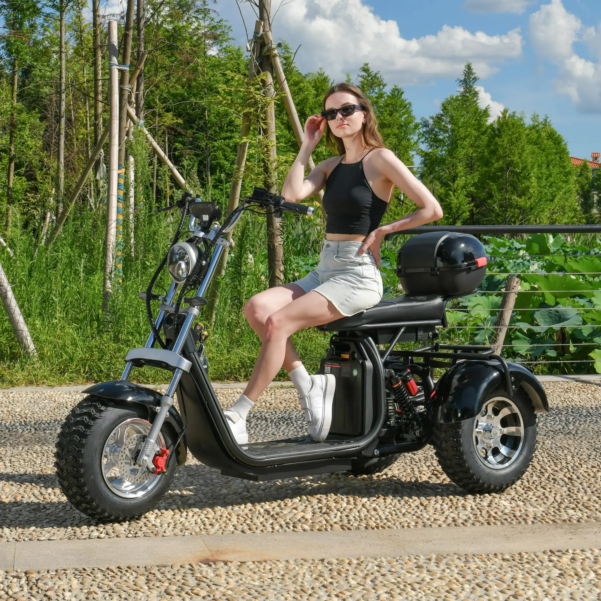 EU COC Is Legally On The Road Adult Electric tricycle 2000W Motor Max Speed 40-45KM/H Max Load 250KG 18 Inch Off road Fat Tire