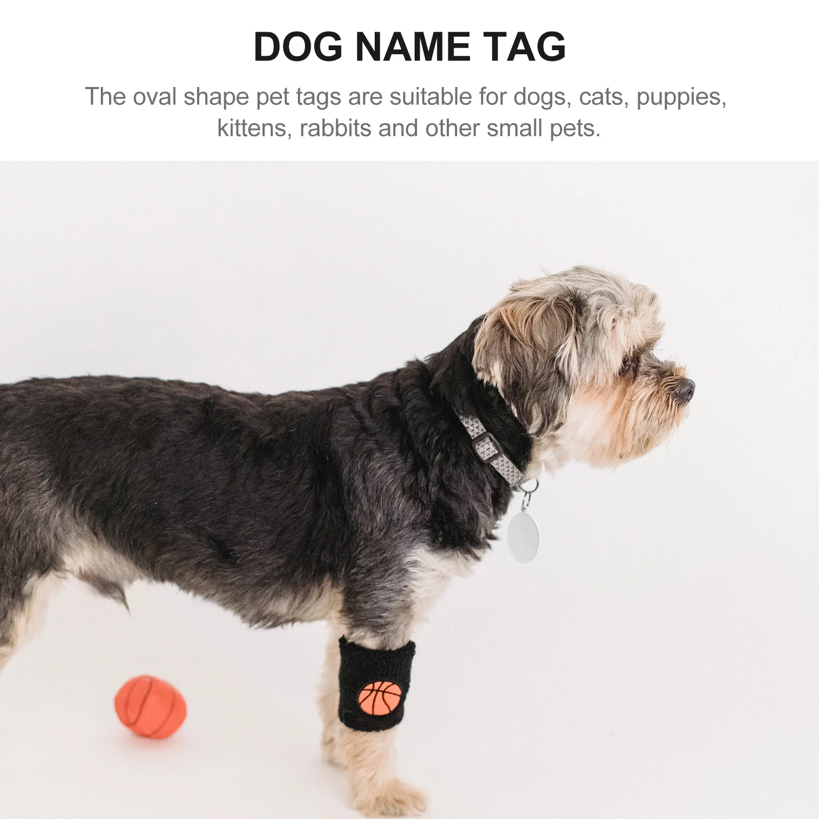 

10 Pcs Pet Anti-lost Dog Sign Premium Tags Id Small Name Stainless Steel Personalized for Pets