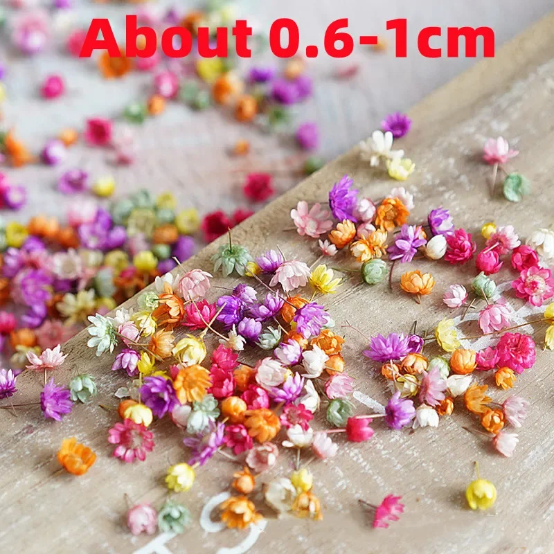 100/200pcs Artificial Flower for DIY Resin Candle Making, Jewelry Fill Art Craft, Home Decor Party Decoration Artwork Photo Prop