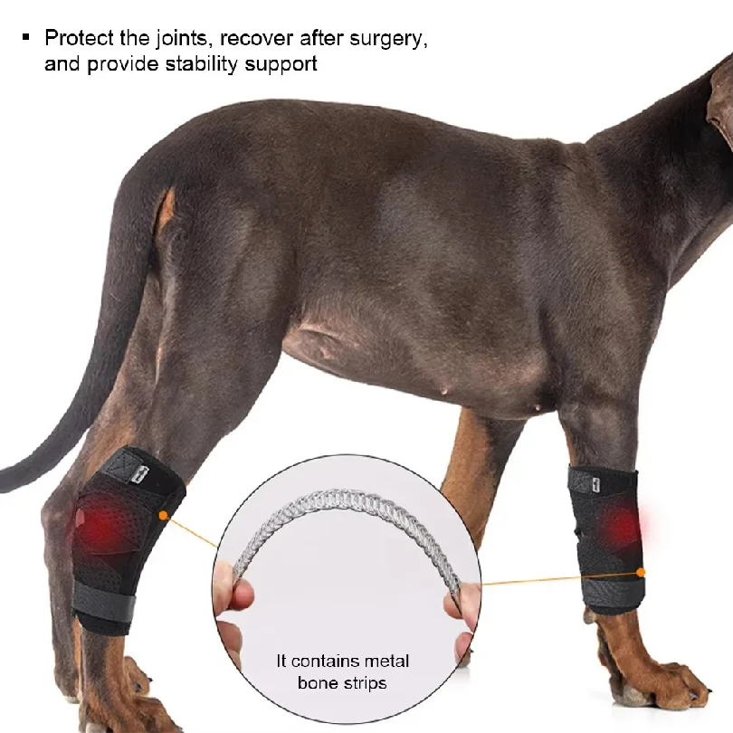 1Pc 1Pc New Protects Bandage Dog Arthritis Protector Cover Dog Leg Support Dogs Hock Joint Brace Pet Knee Pads Dogs Injury Recovery - Aliexpress Deal
