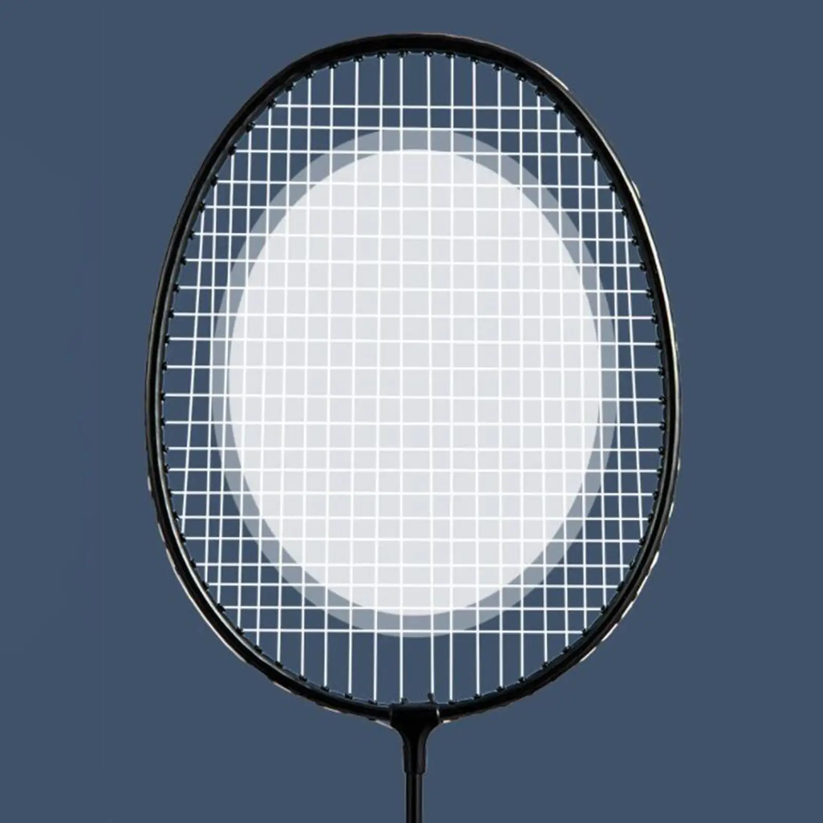 2x Professional Badminton Rackets Set Lightweight Alloy Playing Double Racquets for Backyards Beach Kids Adults Supplies Family