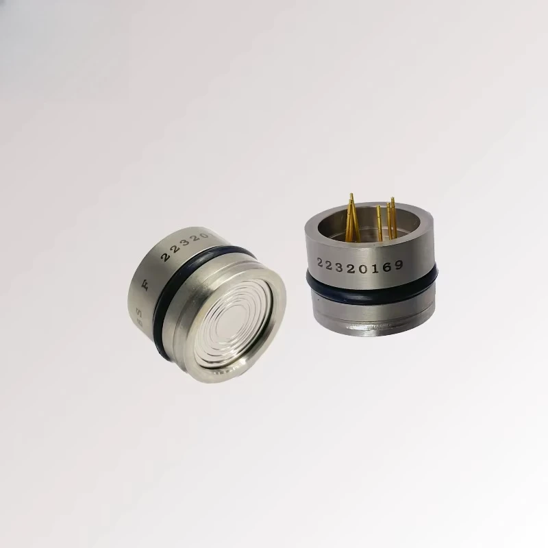 Digital Output Piezoresistive Silicon Pressure Sensor I2C/IIC 0-10V 4-20mA Interface 0.5% FS Accuracy IP65