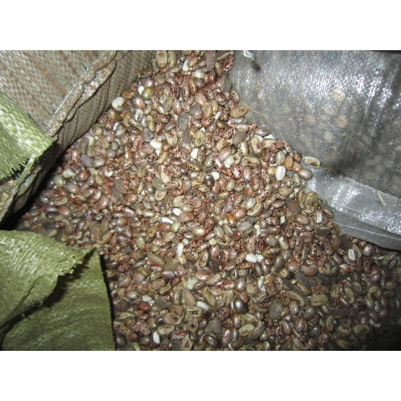 Good performance castor seed cracking machine price castor seed removal machine castor bean shell machine price