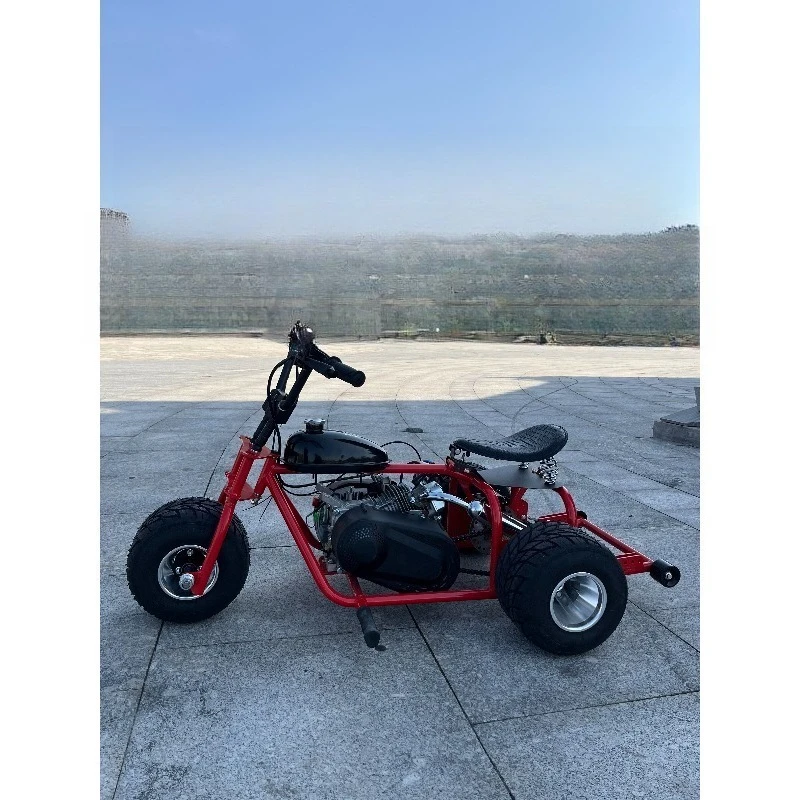 

SXLL 60 km/h maximum speed pedal kart with drift and wheeled capacity 4-stroke engine for outdoor use