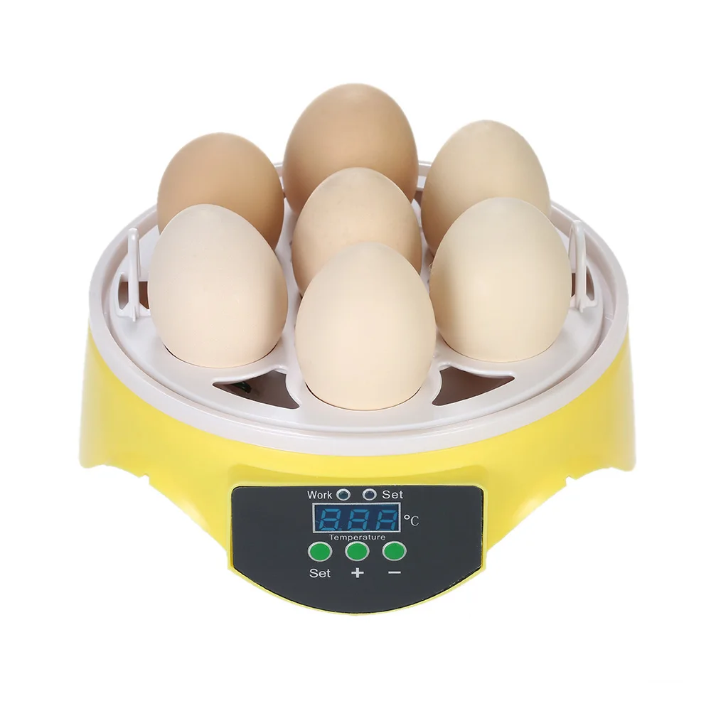 7 Eggs Mini Digital Egg Incubator Hatcher Transparent Eggs Hatching Machine Auto Temperature Control for Chicken Duck Bird Eggs